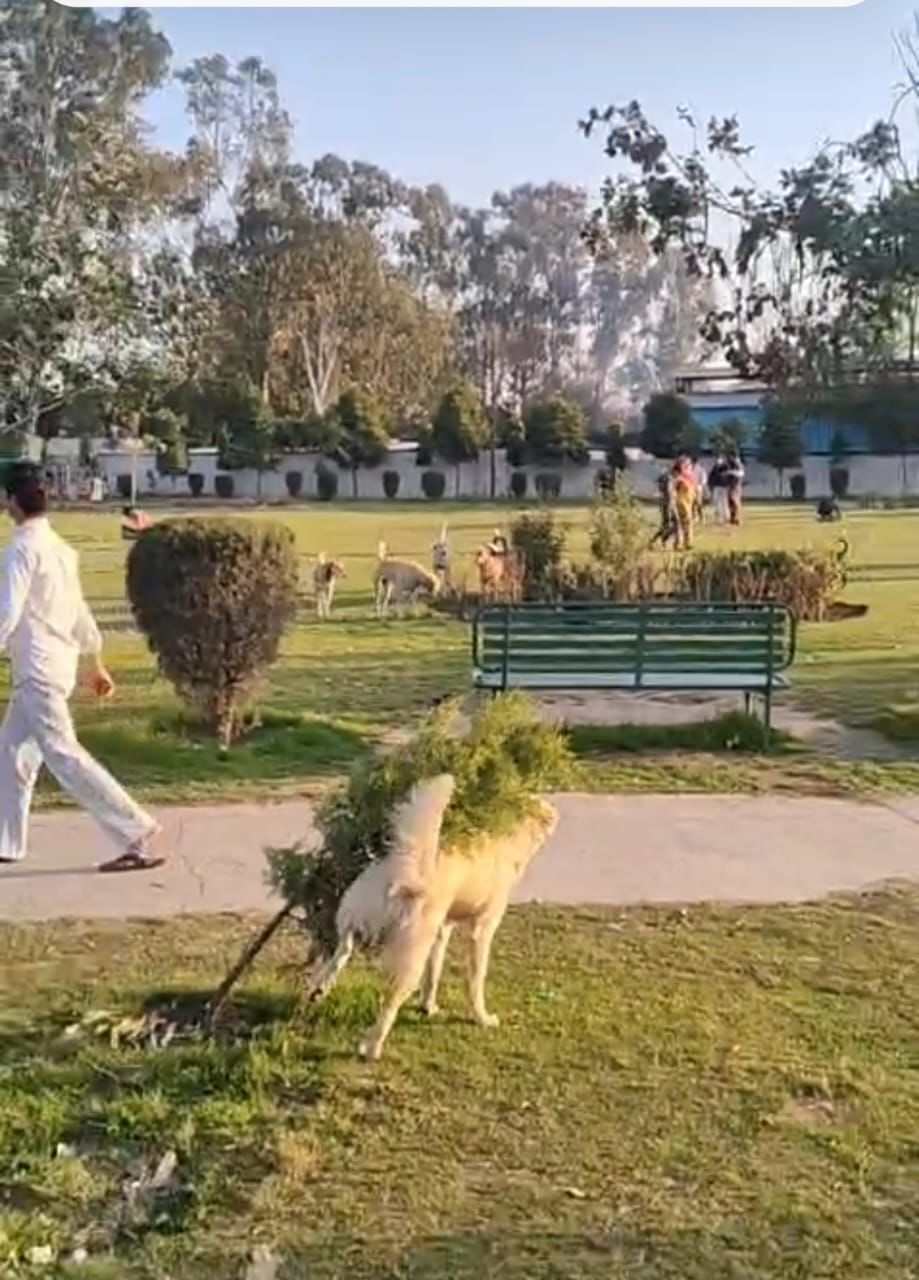 प्रशासन की लापरवाही से 'डेंजर जोन' बना मनीमाजरा का नगला मोहल्ला पार्क; मासूमों की जान दांव पर!