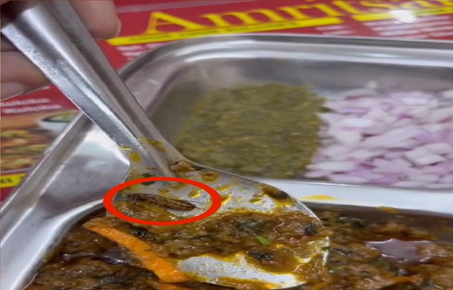 जीरकपुर में ‘बंसल अमृतसरी कुलचा’ विवादों में, खाने में काक्रोच मिलने का वीडियो वायरल