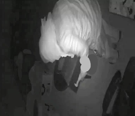 कूरियर कंपनी के ऑफिस से सवा 2 लाख कैश और लॉकर चोरी