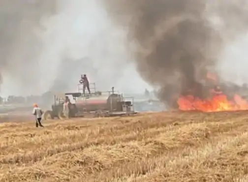 शॉर्ट सर्किट से खेतों में लगी आग, गेहूं फसल और 50 एकड़ नाड़ जलकर खाक