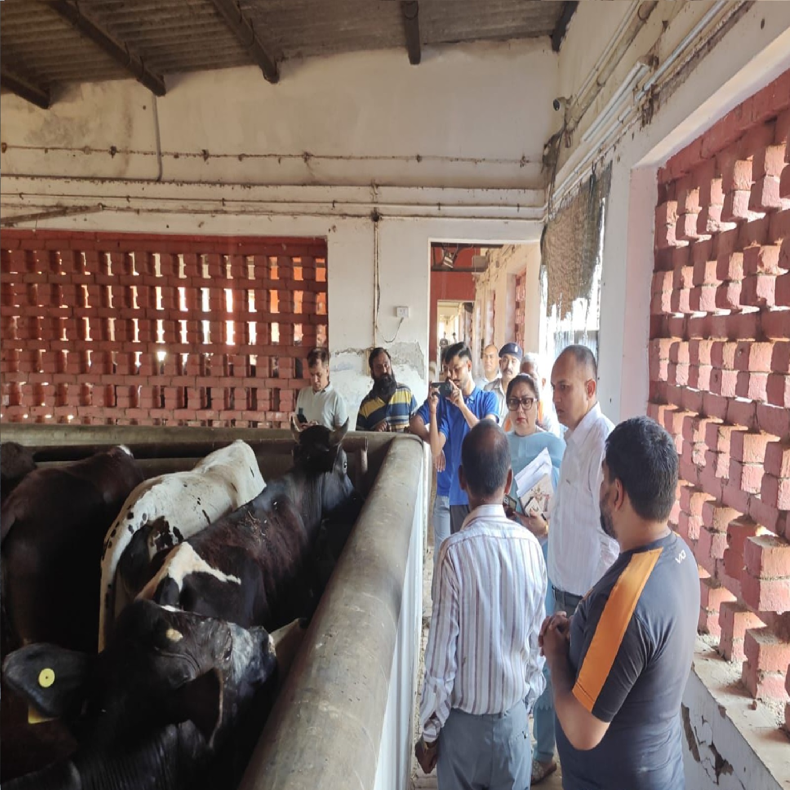 मलोया गौशाला पहुंचे जॉइंट कमिश्नर बलबीर राज सिंह, पशु कल्याण और सामुदायिक परियोजनाओं की समीक्षा