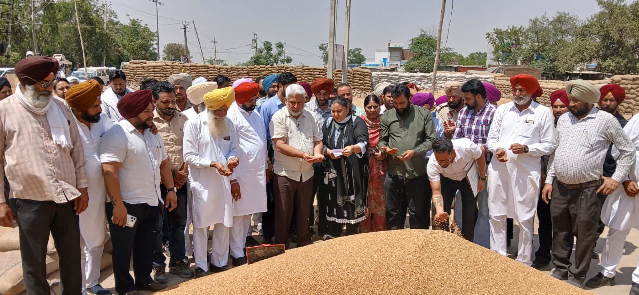 पंजाब ने लगातार चौथे सफल सीजन में साथ-साथ खरीद और भुगतान सुनिश्चित किया — लाल चंद कटारूचक्क