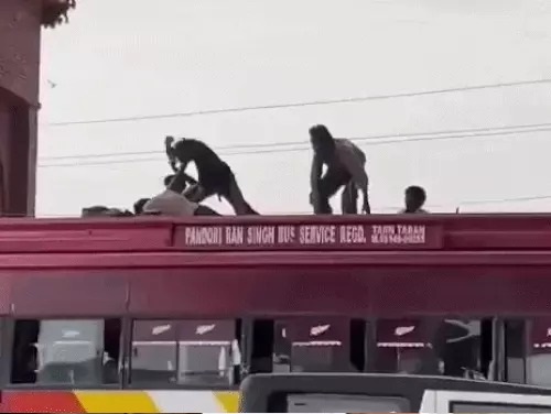 अमृतसर में चलती बस की छत पर लड़ाई, पुलिस के सामने भी एक दूसरे को पीटते रहे युवक