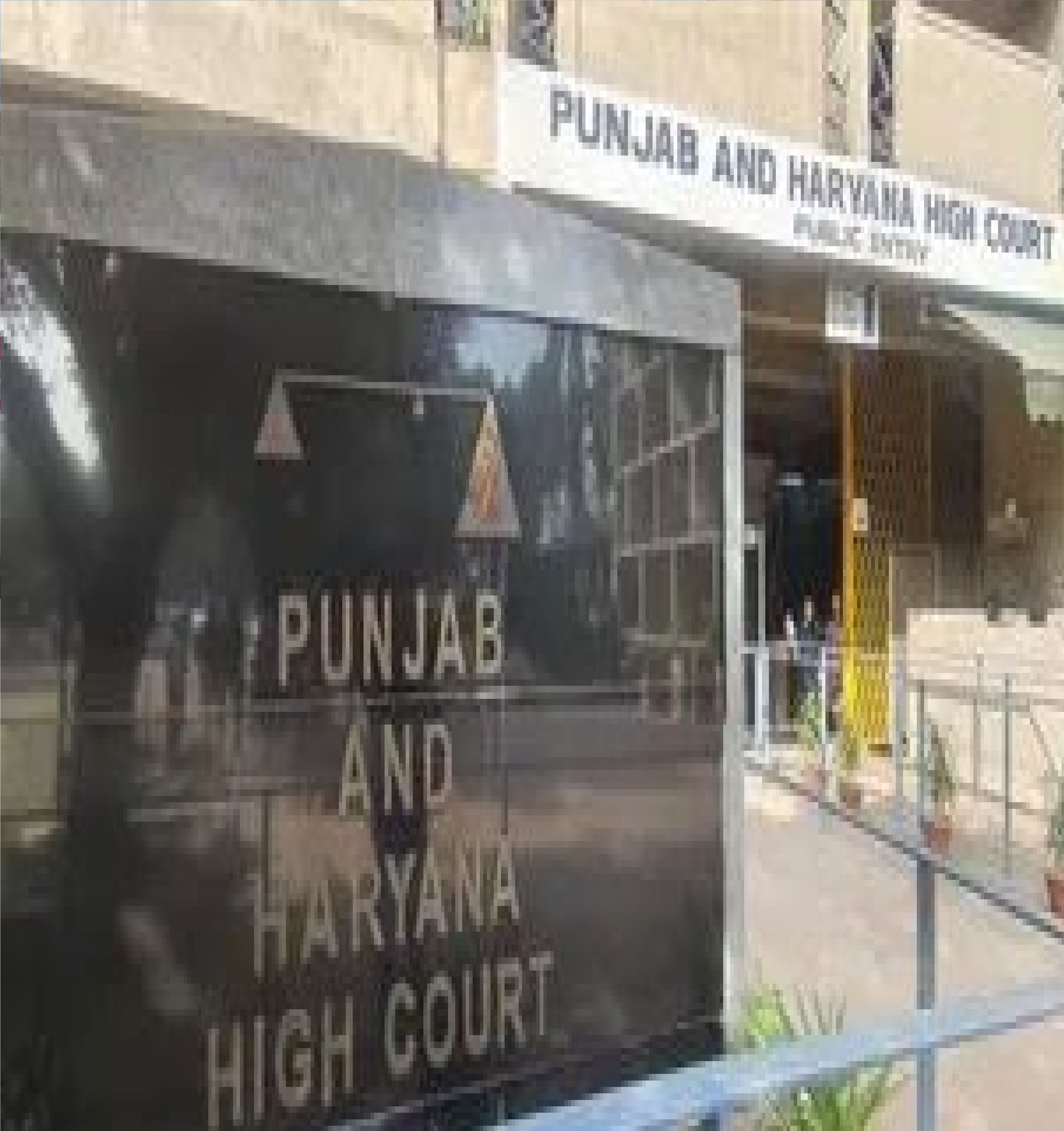 लिव-इन में रह रहीं दो युवतियों को हाईकोर्ट से राहत, पुलिस को सुरक्षा देने के आदेश