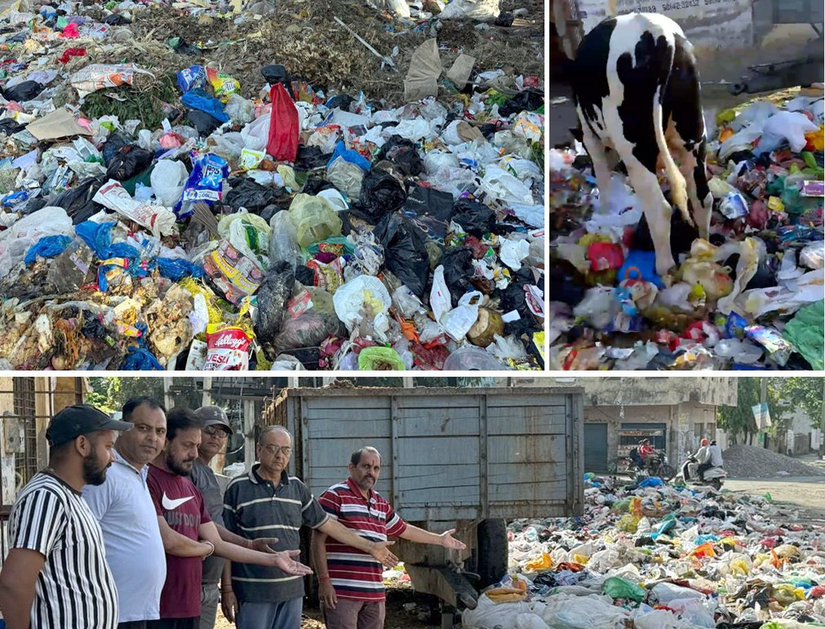 Phagwara: मेहली गेट क्षेत्र में बना कचरे का डंप लोगों के लिये फिर बना मुसीबत