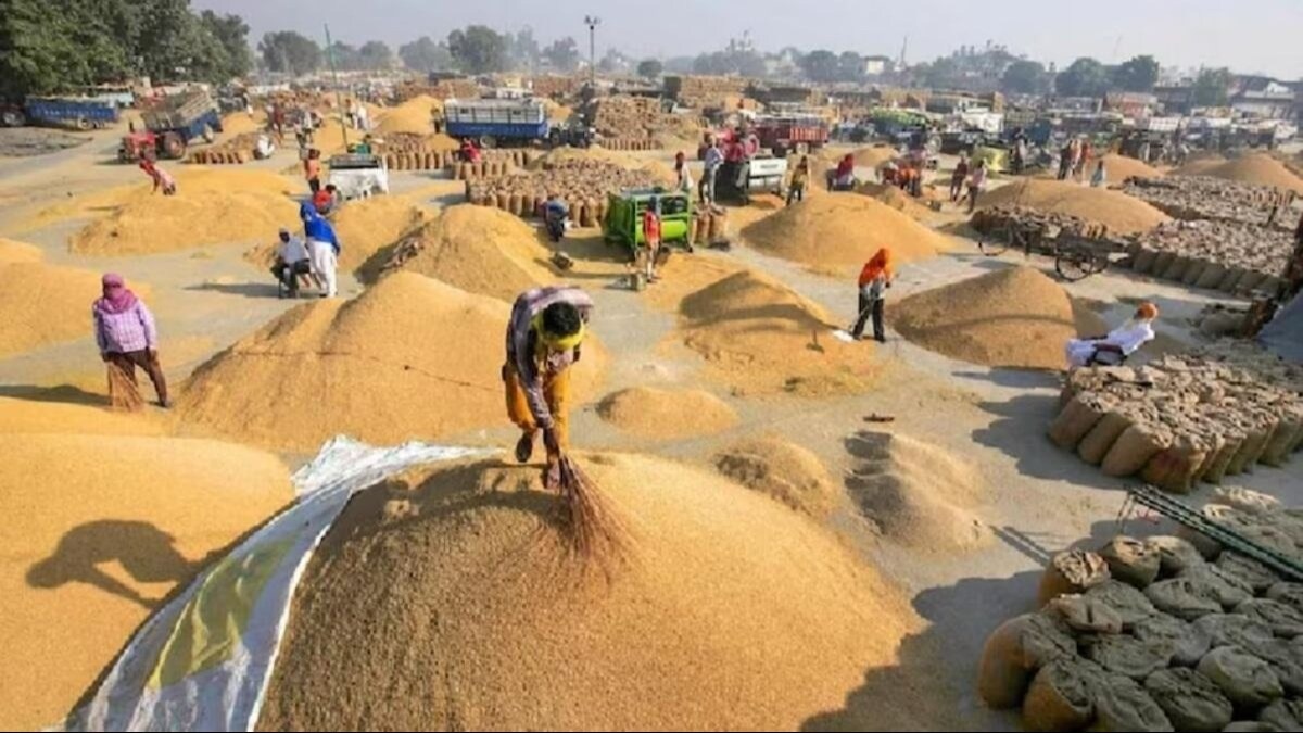 Chandigarh: हरियाणा में अनाज नहीं होगा खराब: 20 लाख मीट्रिक टन के नए गोदाम बनेंगे