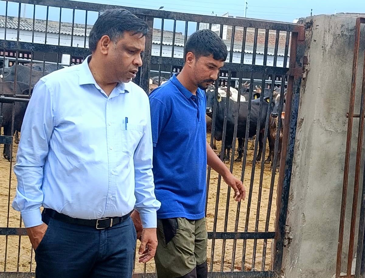 Chandigarh: गौशाला बने पशु कल्याण का आदर्श केंद्र, आयुक्त अमित कुमार ने दिए सख्त निर्देश