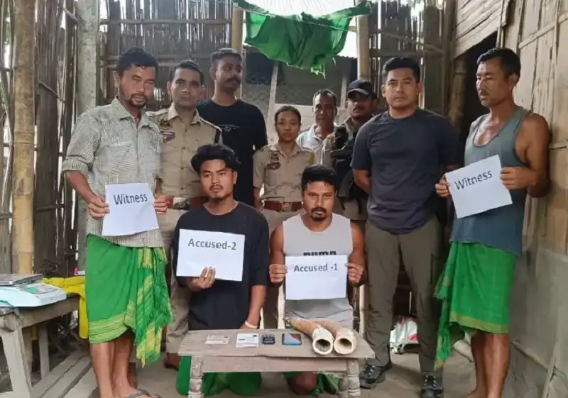 Guwahati: तामुलपुर में हाथी दांतों की तस्करी का भंडाफोड़, करीब 4 किलो अवैध आइवरी के साथ दो पकड़े गए