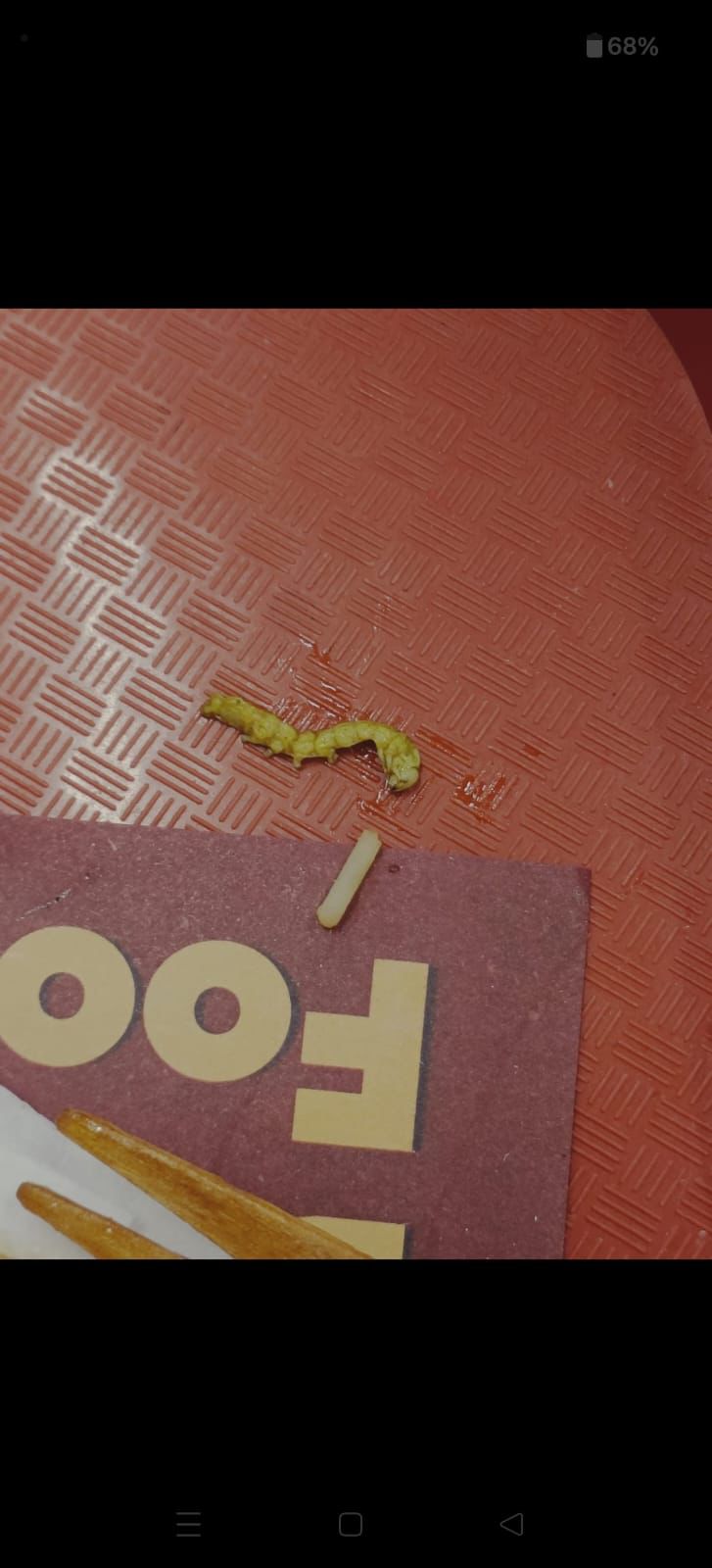 चंडीगढ़ के एलांते मॉल फूड कोर्ट में खाने पर सवाल, डिश में कैटरपिलर मिलने का आरोप